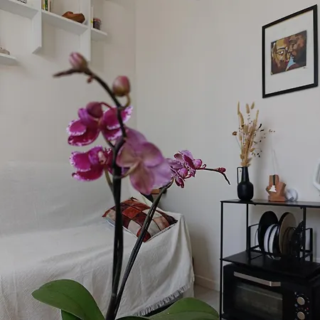 Apartment Doux Cocoon Moderne A Quelques Marches De Montmartre